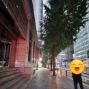 돌담약국 이미지