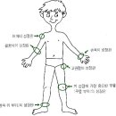 키 성장에 관한 기초상식 이미지