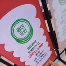 보문복싱 | 경주 아이와 가볼만한 곳 원더스페이스 보문점