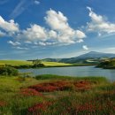 시화호수로 이미지