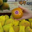 감조은마을