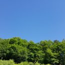 브래뉴