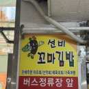 송촌선비동물병원 | 송촌동 선비꼬마김밥 대전 본점 메뉴 포장