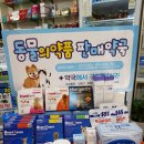 보라시민약국 이미지