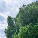 호산나목장 이미지