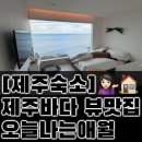 오늘나는애월 이미지