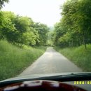 금학산관광농원 이미지