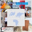 간호사의게스트하우스 | 전 경주 감포 유노게스트하우스에서 1박2일동안 소중한 경험과 추억 쌓고 온 후기 (Feat. 해양 플로깅...