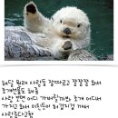 해달
