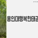 퇴계태권도장 이미지