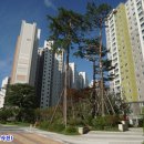 강릉 지구부동산 공인중개사사무소 이미지