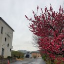 에버스트리트 이미지