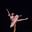 화성예술인시리즈 화통(通) 이미지