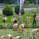 교류공연 이미지