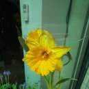 혜정이네김밥 이미지