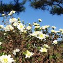 의료법인 대한불교조계종 승려복지 아미타불교요양병원 이미지