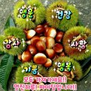 라면과 맛 궁합 최고인 ‘이것’, 건강엔 최악!? 이미지