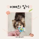 시흥탑동물의료센터
