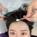 솔이미용실 - 청양군 | 공덕역미용실 바이브하헤어 솔이디자이너 크리닉후기