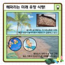 노벨푸드 이미지