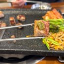 가야돼지