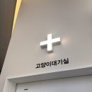 혁신동물병원 | [대구 동구]대구혁신메디컬동물병원
