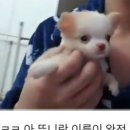 남순네