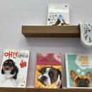 마롱 살롱 이미지