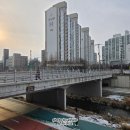 당현천 차없는거리 이미지