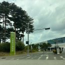 서울시립대학교 자연과학관식당 | 대구 공룡 아기랑가볼만한곳 국립대구과학관 후기 근처식당