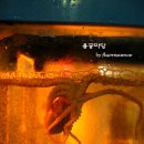 용궁 네이버블로그