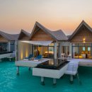 몰디브커피 이미지