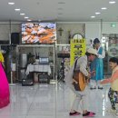 통기타(주간) 이미지