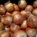 마트로마트 이미지