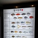 진주생선9호 | 특수어종회 복코스 다있는 여의도룸식당 살아있네, 독보적인 자연산횟집!