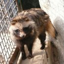 고암생활체육공원 체육공원 이미지