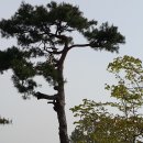 재성농장 이미지