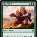 대구듀얼챔프
