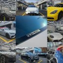 과천대로 | 테슬라 모델 X, 브이쿨 KEV썬팅부터 유리막까지 완벽한 패키지 | 브이쿨 과천대로점 가드윈