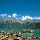 코스티(COSTI) 이미지