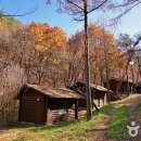 청송도석 앞 이미지