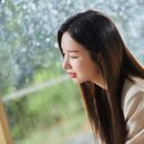 솔지 이미지