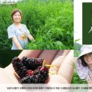 순희농장 이미지