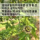 두리농장1 이미지