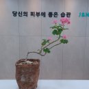 더초이스피부과의원 | 서울특별시 노원구 월계3동 대상포진 전문병원 추천 | 무료접종 | 예방접종