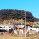 용혈1리 이미지