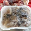 홍어 식당 이미지