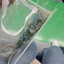 아이윌의원 | 깨작깨작 일상 1