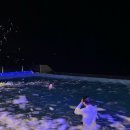 힐링풀빌라펜션 | 여수 오션뷰 끝판왕 아이와 함께한 가족여행, 라포즈펜션 풀빌라 힐링 후기