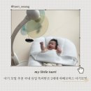 하베 | 아기 모빌 추천 국내 유일 특허받은 2세대 하베브릭스 솔직 후기